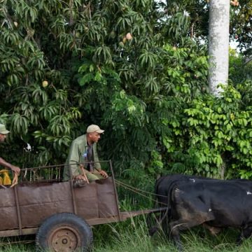 e17023e9-d97d-4c9d-85eb-1c5b3dd06363 L’impact de l’embargo pétrolier américain sur l’économie cubaine