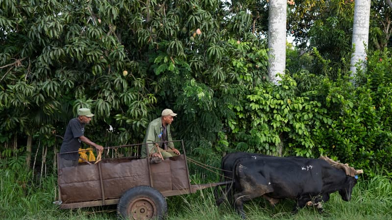 e17023e9-d97d-4c9d-85eb-1c5b3dd06363 L’impact de l’embargo pétrolier américain sur l’économie cubaine