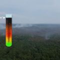 Impact des incendies de la forêt de Fontainebleau sur l’air et la biodiversité