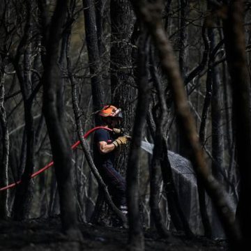 Les pompiers luttent contre les incendies à Correns