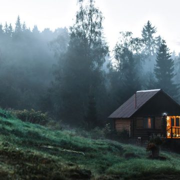 Dans la forêt : Un voyage littéraire au cœur de l&rsquo;apocalypse