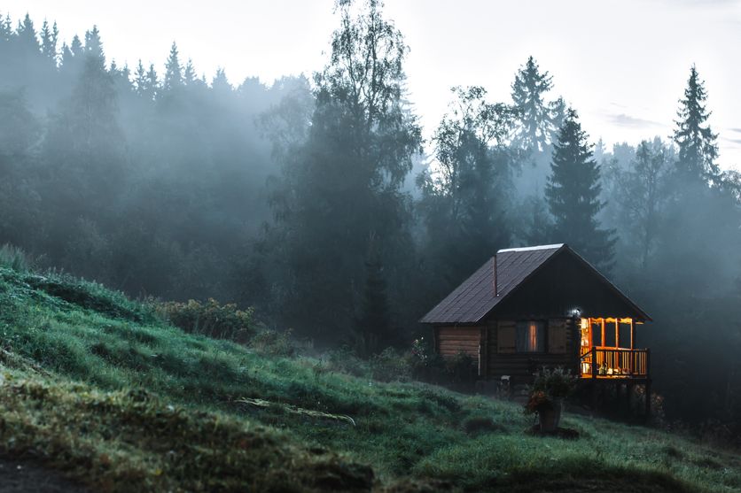 Small old wooden house in foggy forest. Mountains scenery. Nature conceptual image. Dans la forêt : Un voyage littéraire au cœur de l’apocalypse
