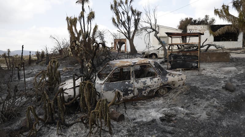e9666f8f-2f8d-43a7-af97-56920e7b7b13 Incendie mortel en Andalousie : bilan et détails