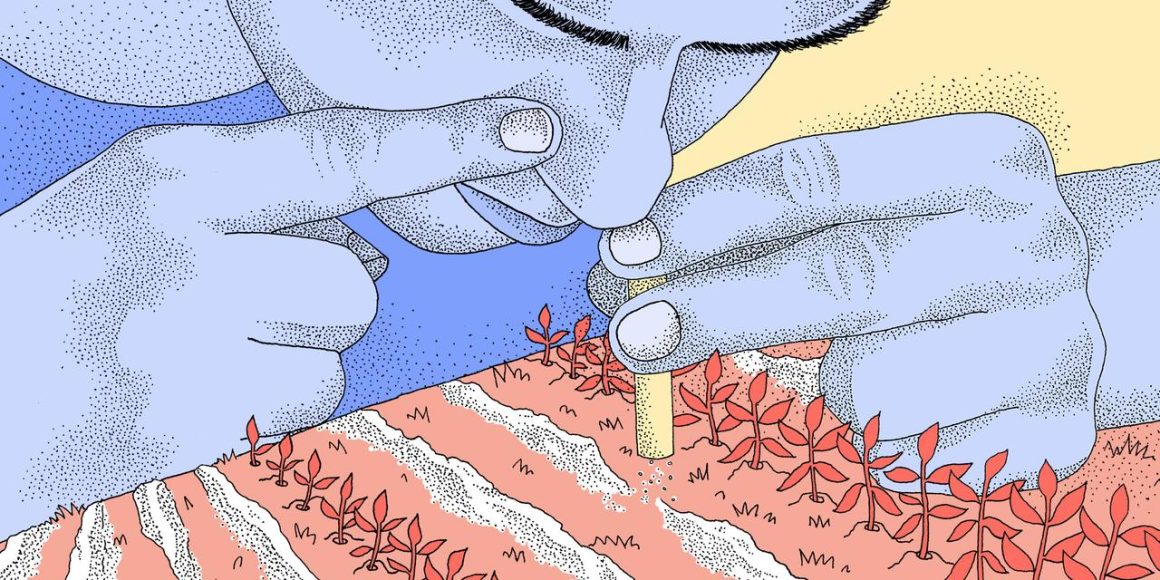 Les dangers de la cocaïne dans le milieu rural