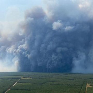 Incendies en Gironde : un phénomène météorologique rare