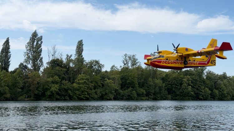f77aed03-c05c-4004-baa5-f22ab1c73c9c Incendie en Seine-et-Marne : mobilisation impressionnante pour maîtriser les flammes