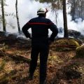 Les pompiers utilisent l’IA pour lutter contre les feux de forêt