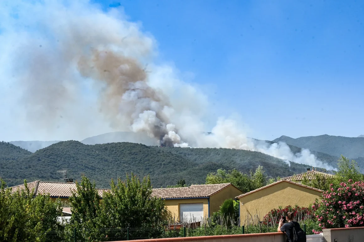 Prévisions d’Incendies de Forêts en France: Un Avenir de Plus en Plus Risqué
