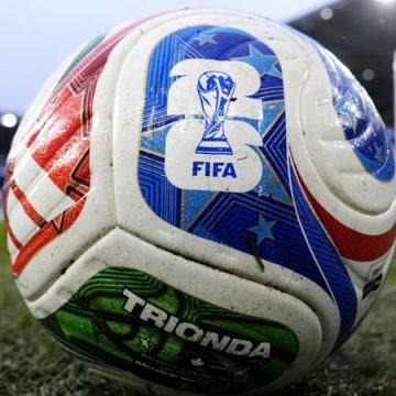 Annulation de la fan-zone pour la finale de la Coupe du monde à Toulon