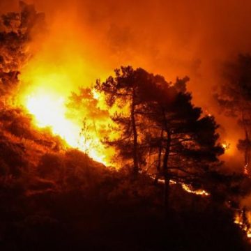 01223771-4643-4522-8d77-6be109f84070 El Niño et la crise climatique : une exacerbation des extrêmes