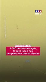 03090607-db8b-4fdb-b95a-ae597d854869 La Belgique lutte contre un incendie majeur dans un parc naturel