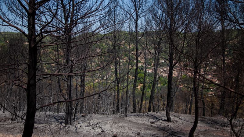 034abc3f-91d3-4881-972f-6a6c83444ca7 Maîtrise de l’incendie du Gros Bessillon : évolution et efforts des secours