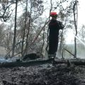 Les pompiers du Var en alerte face à un nouvel épisode de feux