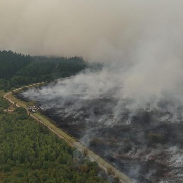 097a8f89-8f4a-4691-ba32-e42995f60d7d Incendies destructeurs en Belgique et réactions en Europe