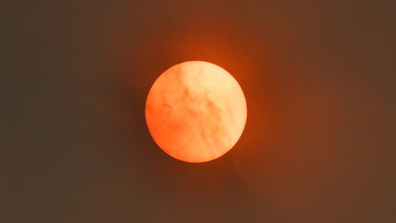 0afc5577-5744-405b-8335-9b0f7827bd8d Le nouveau cycle solaire et ses impacts sur la Terre