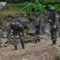 La Zone la Plus Minée au Monde à la Frontière Coréenne