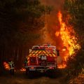 Portrait des Pompiers en Gironde : Entre Communication et Traumatismes