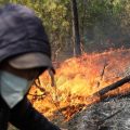 Incendies meurtriers dans le nord-est de l’Algérie