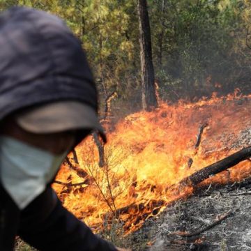 Incendies meurtriers dans le nord-est de l’Algérie