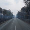 Après l&rsquo;incendie en Gironde : Questions et enjeux