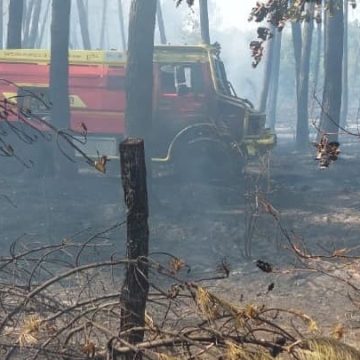 225f2e55-cdc5-4b14-8e3c-4efd388f3872 Incendies en France : Mises à jour et interventions des pompiers