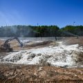Les conséquences de la canicule sur l&rsquo;élevage et les nuisances pour les habitants