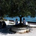 Alerte Canicule et Prévention des Incendies en France