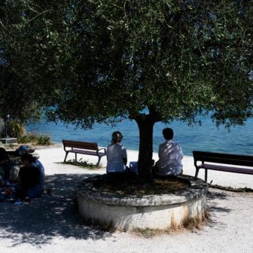 259e2440-af8a-4160-83e1-e9b6a11fa515 Alerte Canicule et Prévention des Incendies en France