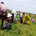 Conflits violents dans l&rsquo;État du Plateau au Nigeria