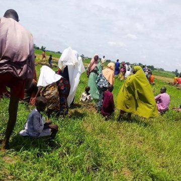28ac8858-4dd3-4d5a-a621-55aa32075a55 Conflits violents dans l’État du Plateau au Nigeria