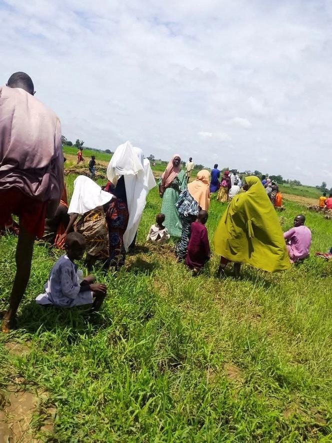 28ac8858-4dd3-4d5a-a621-55aa32075a55 Conflits violents dans l’État du Plateau au Nigeria