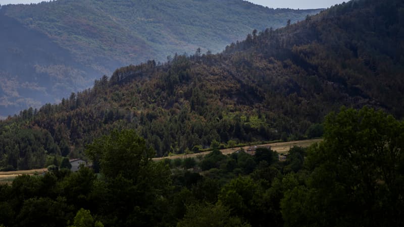 28cbb881-3b72-4f8b-8ce4-740deebede3a Incendies Dévastateurs dans la Drôme et la Lozère