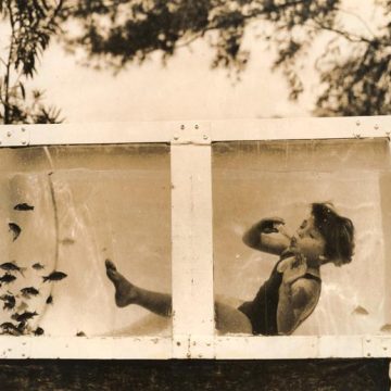 La nouvelle d&rsquo;Aude Walker : « L’Enfant-poisson »