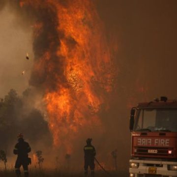 2ddb5978-df70-4db2-bc02-9c2459856eae L’Europe face aux incendies de forêt