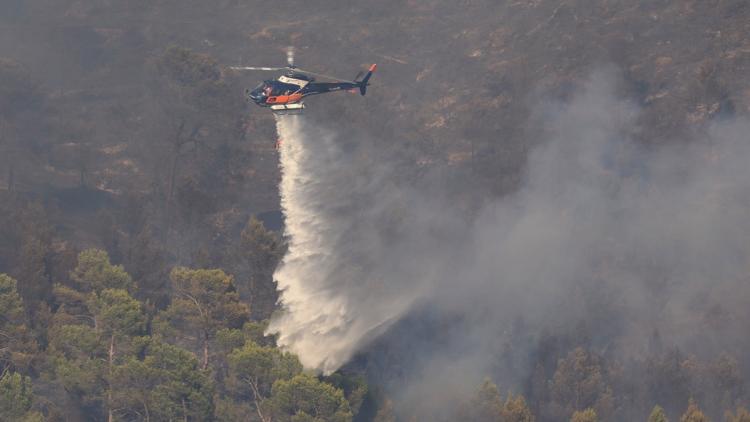 2e364c9f-59eb-4512-b07f-b5c1ea670ec5 38 départements en vigilance orange pour feux de forêt