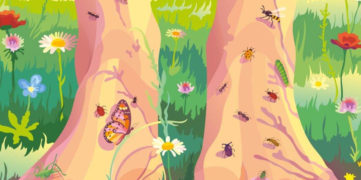 2ec1b3fb-6529-4707-81ab-ce47e67d981f Entretien avec Tatiana Giraud : Les enjeux de la biodiversité