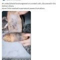 Un artefact mystérieux ou simple invention ?