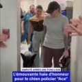 Un hommage émouvant pour Ace, le chien policier amputé après une fusillade