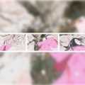 Un hommage à Isao Takahata à la Cité de la tapisserie d&rsquo;Aubusson