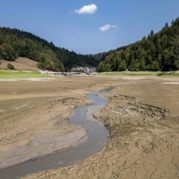 3cfd3d23-e56c-4870-bbbc-d7e9ed7f93cd Gestion de la canicule et sécheresse en Europe et en France: impact et mesures