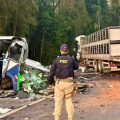 Collision mortelle entre un autobus et un camion au Brésil