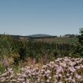 Le débat sur le fédéralisme climatique en Allemagne
