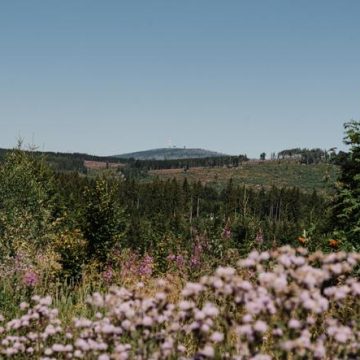 Le débat sur le fédéralisme climatique en Allemagne