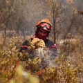 Les épreuves physiques des pompiers : un parcours exigeant