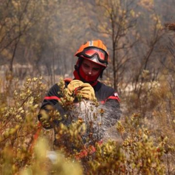 Les épreuves physiques des pompiers : un parcours exigeant