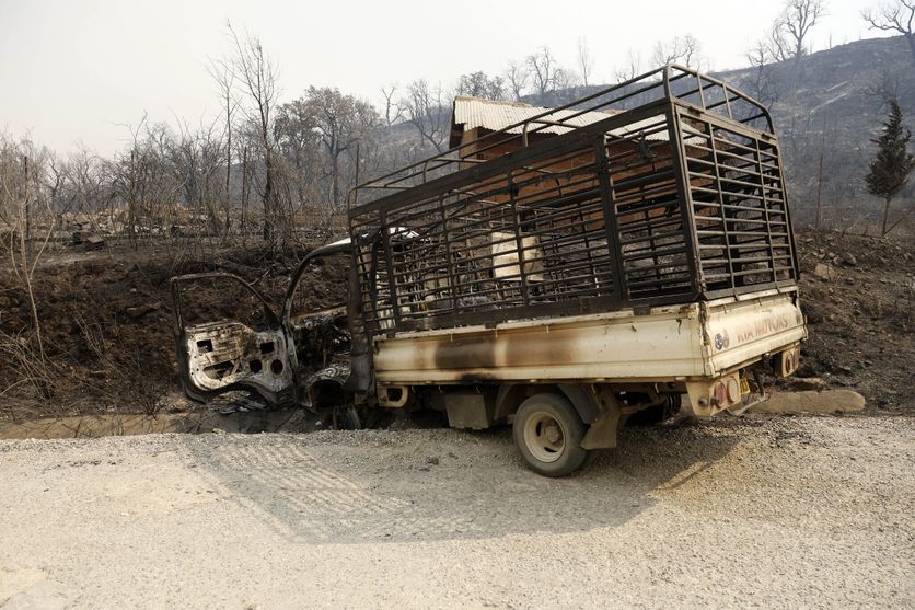 Fires In Jijel And Béjaïa In Algeria Incendies de forêt en Algérie : un bilan lourd