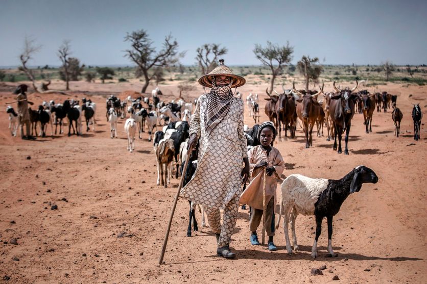 NIGER-AGRICULTURE-DROUGHT Analyse de la COP17 sur la désertification