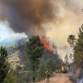 Incendies en Espagne près de Madrid