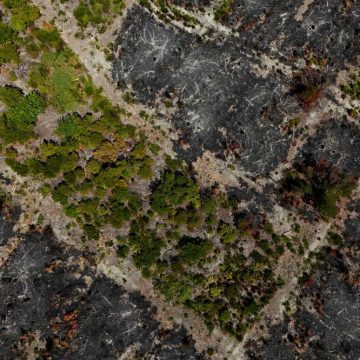 58df7a7b-b195-46b8-a9dc-f2f0f53c2b46 Risques d’incendie en France et en Europe : précautions et interventions