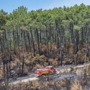 Incendie en Gironde : Un Défi pour l&rsquo;Avenir de la Forêt des Landes
